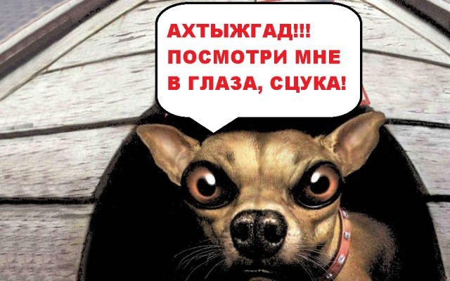 Как я в га#но вляпался