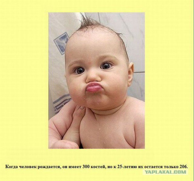 20 фактов обо всем