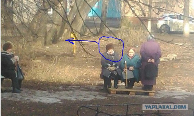 На улице потеплело