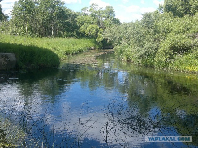 Большой водочный поход