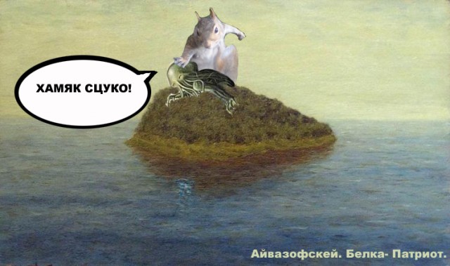 БЕЛКИ. Все про белок, прикольные белки!