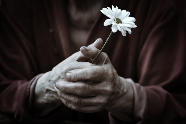 Как прекрасен и трагичен этот мир, ч.7