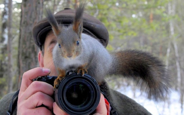 Животные и фотоаппарат