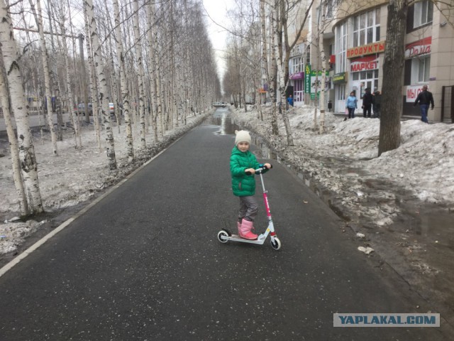 Полезная информация: выбираем самокат