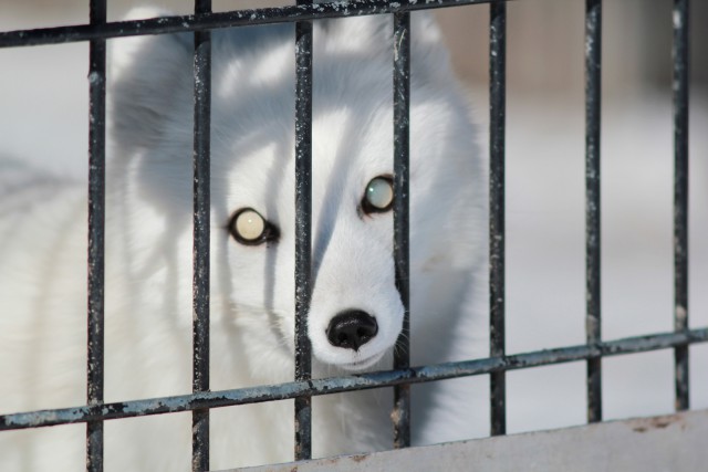 Подборка интересных и веселых картинок