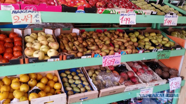 Настоящая Испания изнутри: на местный рынок за продуктами