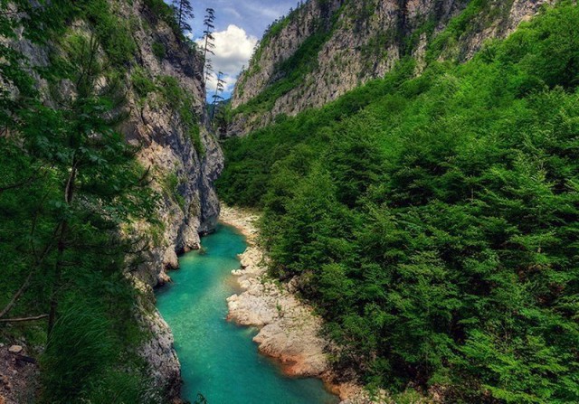 Моменты, запечатлённые на фото и просто позитив 5
