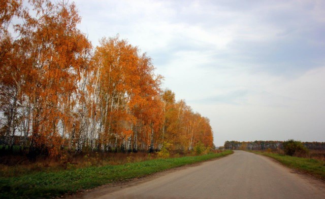 Сельскохозяйственный эксперимент ч 13