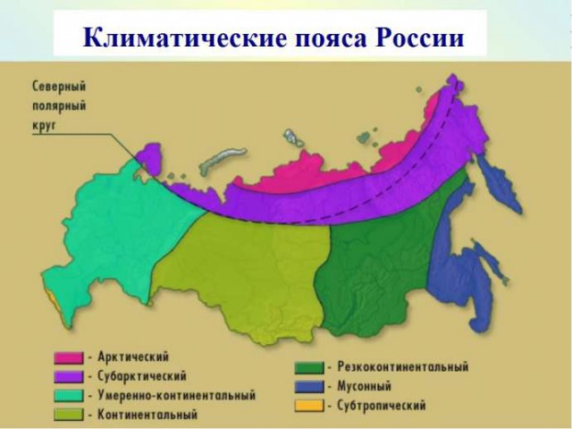 Я бы посоветовал человечеству последние 3 спокойных года больше посвятить семье… И подготовиться!