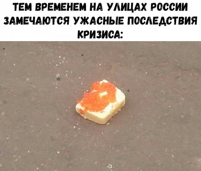 Картинки из интернетов