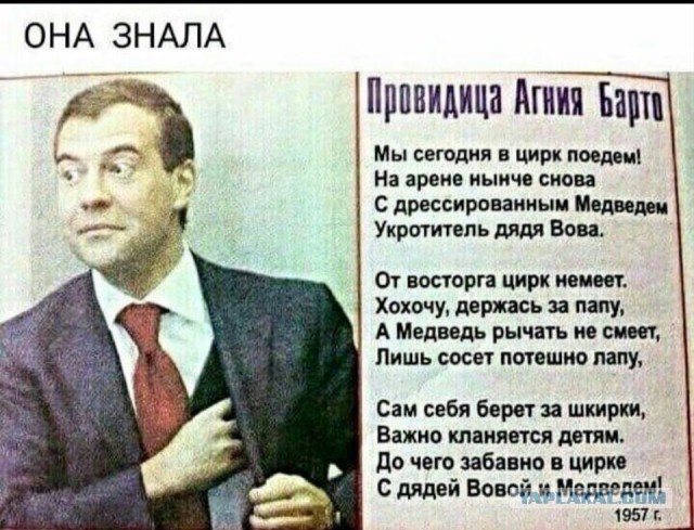Путин и тарифы