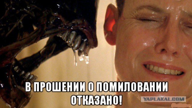 Планета Земля является тюремной базой.