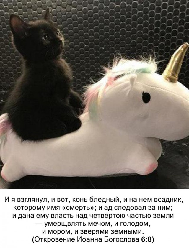 Разные, возможно веселые, картинки  из этих соц сетей