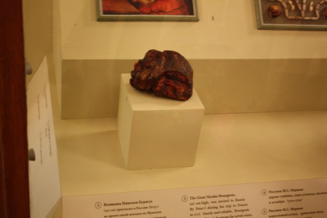 Январское путешествие в "Европу"