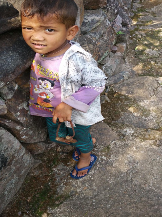 К живым мостам и обратно. Заметки из Индии