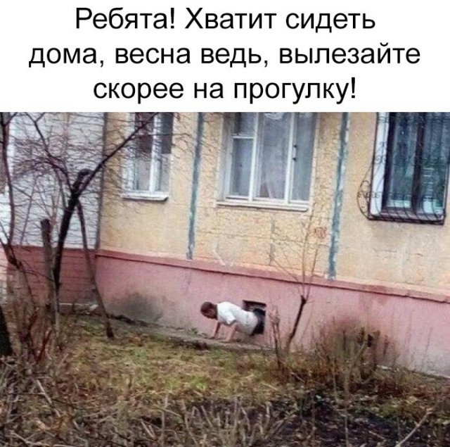 Нестандартный юмор