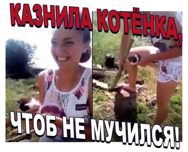 Дело живодерок №2