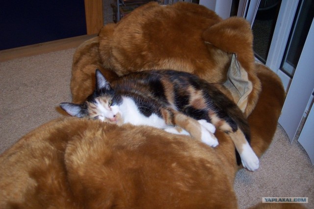 КОТовторник 13.04.2010г.