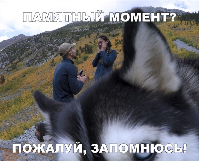 Нестандартный юмор