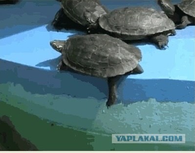 На... с пляжа!