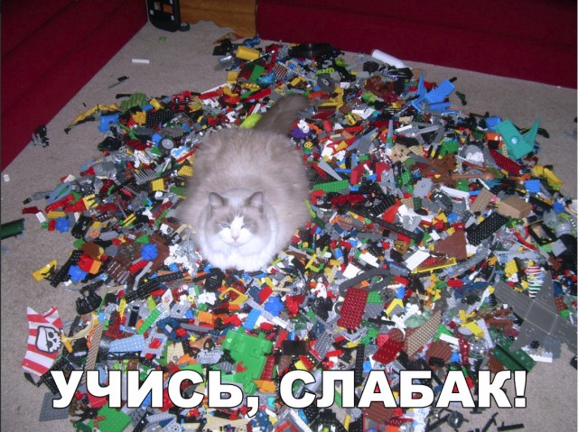 Нестандартный юмор