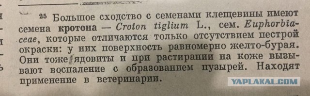 Кулинарная общалка