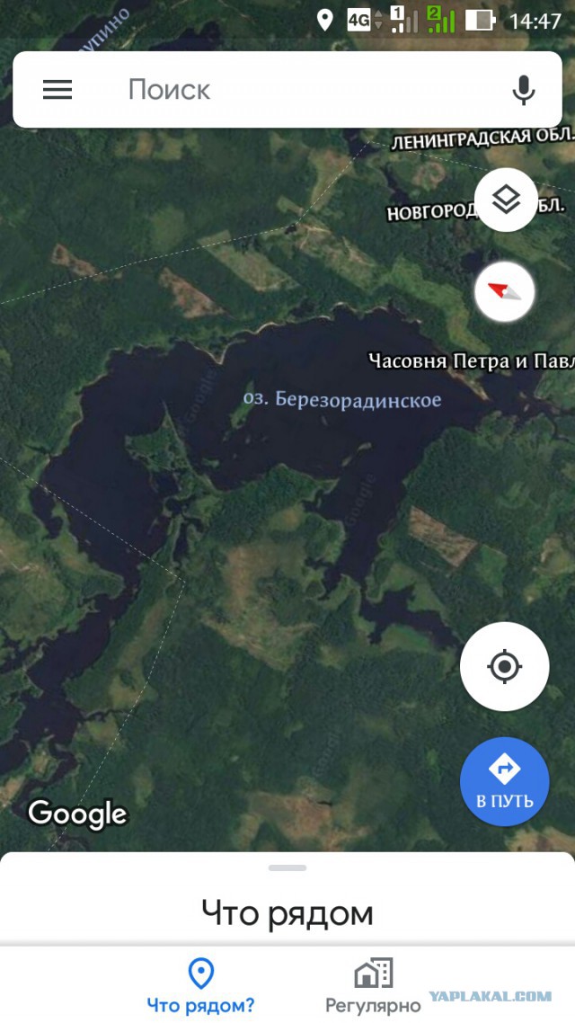 Вепсская тайга летом или Старый Бор