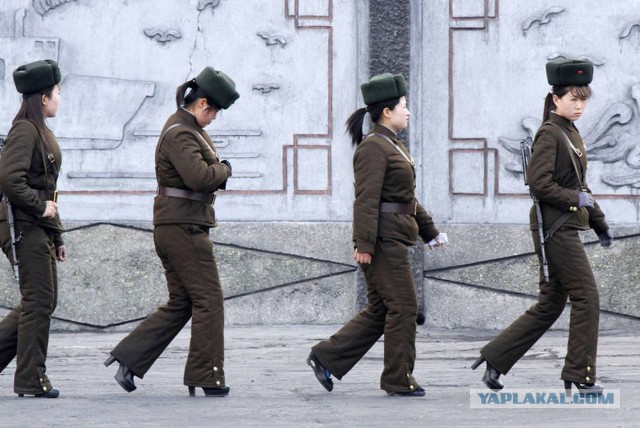 Северокорейская мода