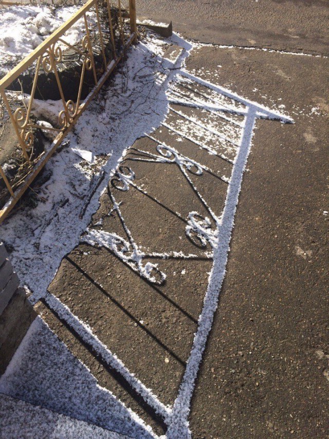Подборка интересных и веселых картинок 15.02.19