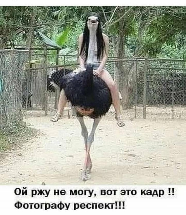 Немного картинок для настроения