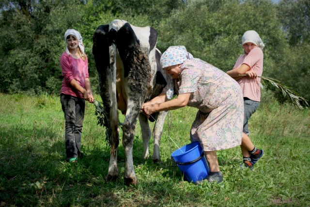 Хорошо в деревне летом