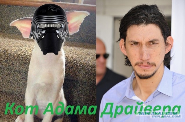 Так себе картинки #13
