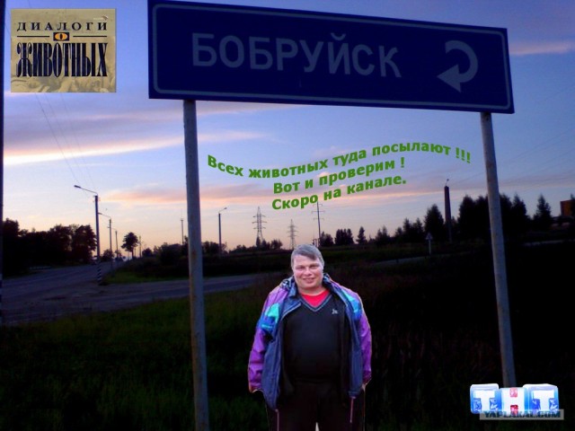 Фотожаба: ТВ программа