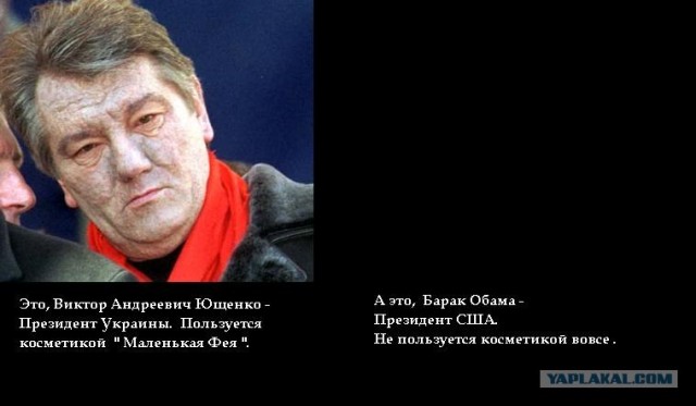 10000 голов