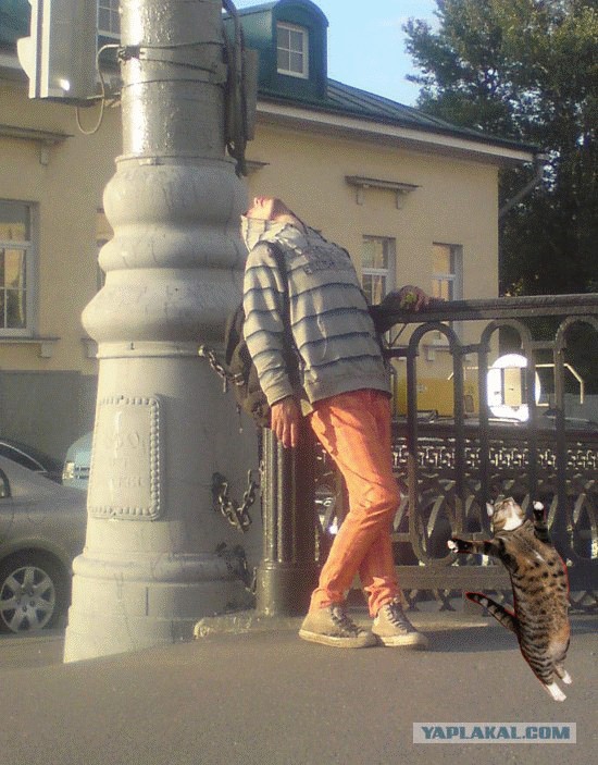 Доброе утро