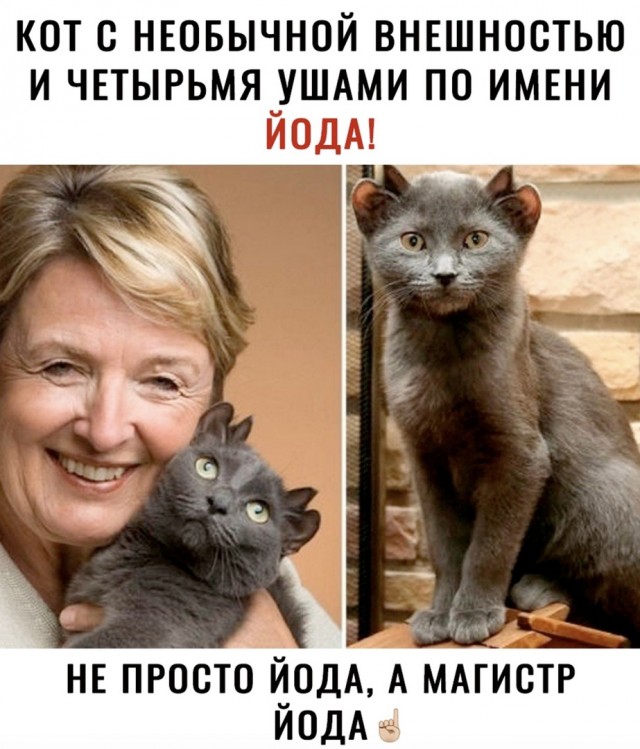 "Почти 25" 19.12.2020