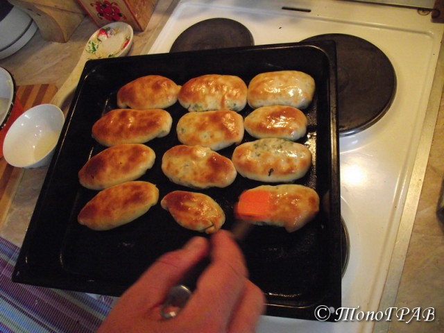 Пятничные посиделки на теплотрассе ©