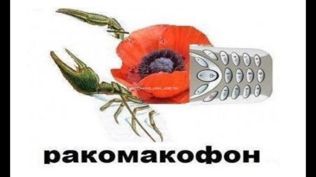 Наконец-то нормальная наркомания в этот воскресный день