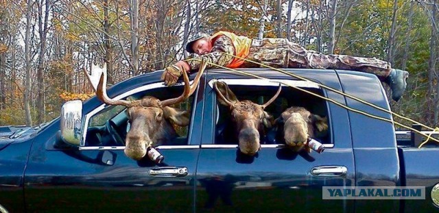 Жизнь в пригороде в восточной Польше