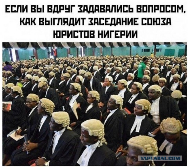 Забавные комментарии из социальных сетей (06.12.21)