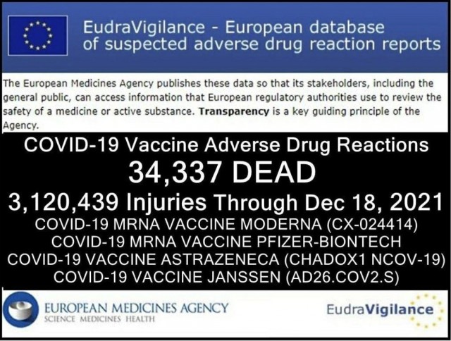 Зомби-апокалипсис 2022