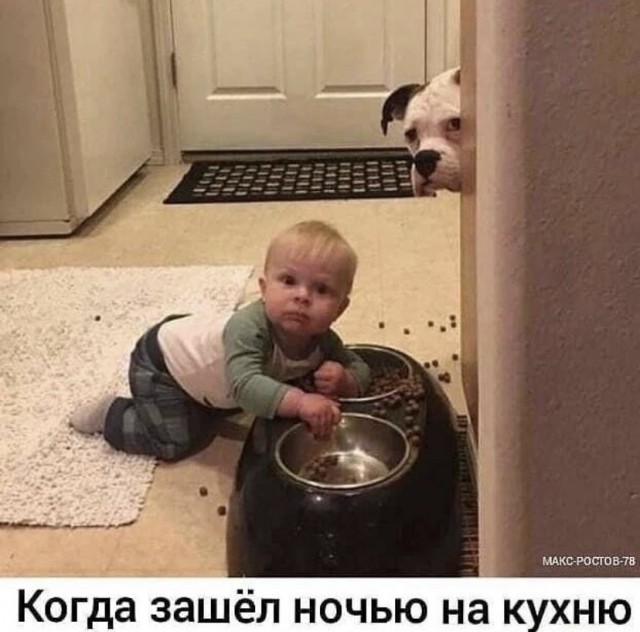 Картинки и мемы, всем прекрасных выходных