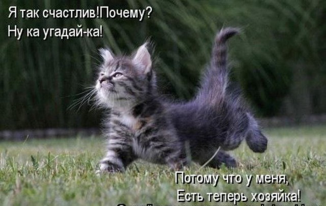 Ну вот и я сдался