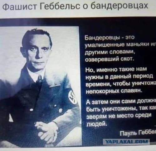 Даже отпетый нацист Геббельс презирал их.