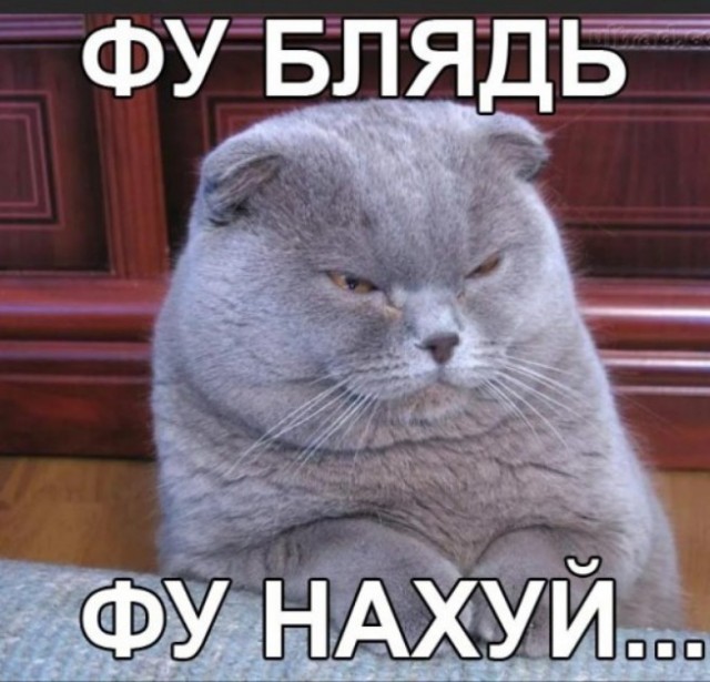 Миссия выполнима!