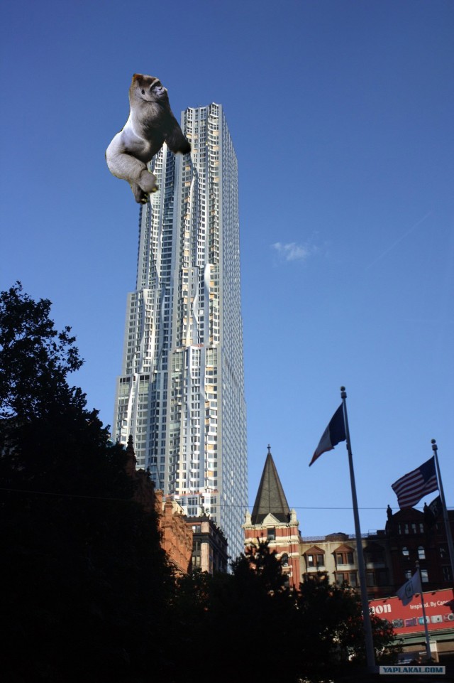 Поездка в New York