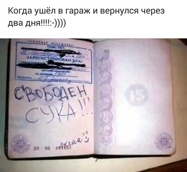 Пятница. Вечер. Картинки всякие #11