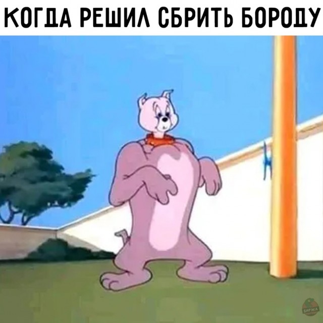 Картинки и мемы для настроения. Выходные скоро