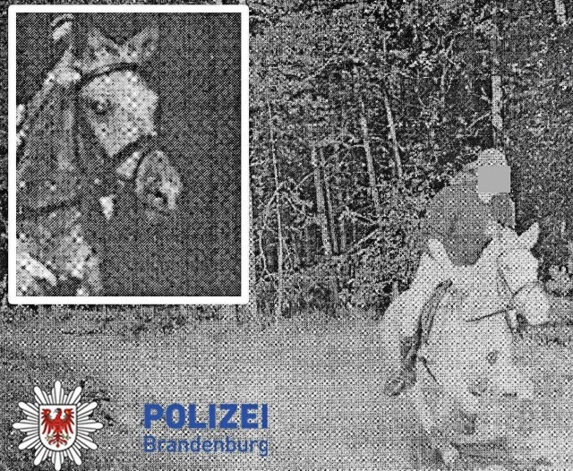 Как дети развлекаются в США