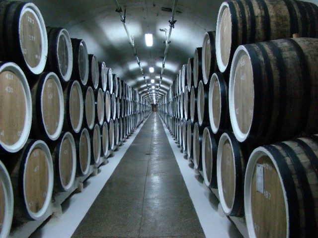 Массандровский винзавод. Музей, дегустация.